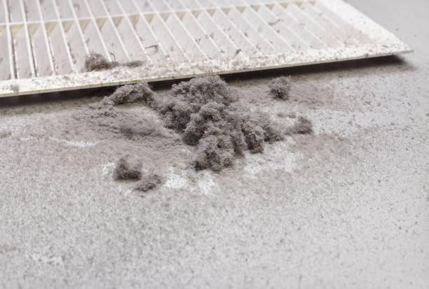 Best HVAC Duct Inspection Services  in Santa Clara, NM