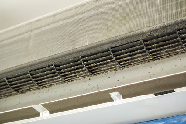 Best HVAC Maintenance and Cleaning  in Santa Clara, NM